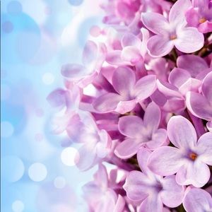 Meet your Posher, Faria